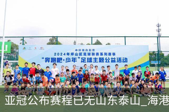 亚冠公布赛程已无山东泰山 海港若递补将赴泰国