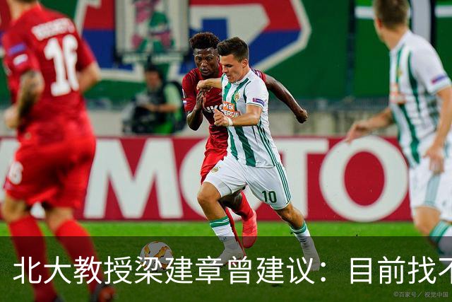 北大教授梁建章曾建议：目前找不到工作的年轻人，可以先结婚生子
