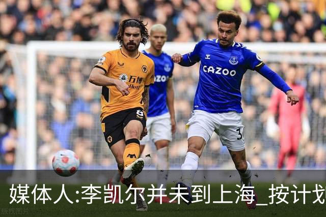 媒体人:李凯尔并未到上海 按计划能赶上世界杯
