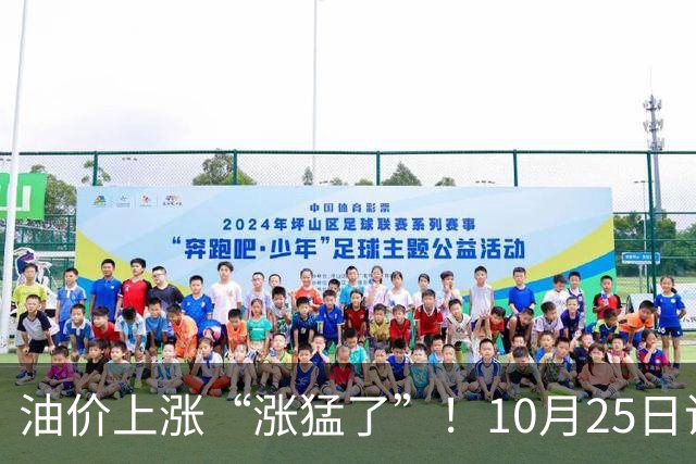 油价上涨“涨猛了”！10月25日调价后92/95号汽油价格，玉米承压，“磨底”待涨？