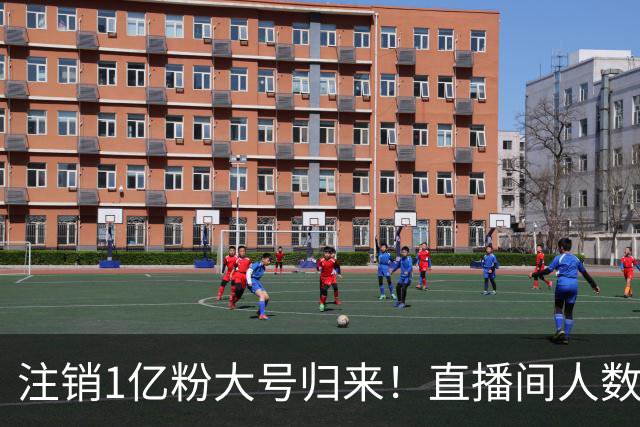 注销1亿粉大号归来！直播间人数只有2000，小杨哥突然复出被打脸