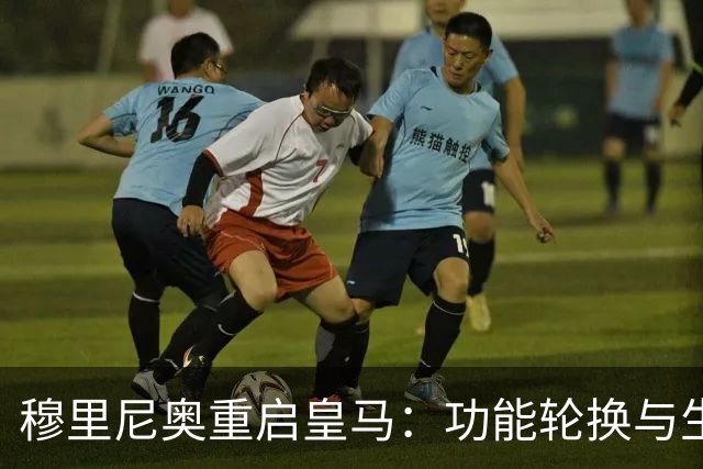 穆里尼奥重启皇马：功能轮换与生存逻辑