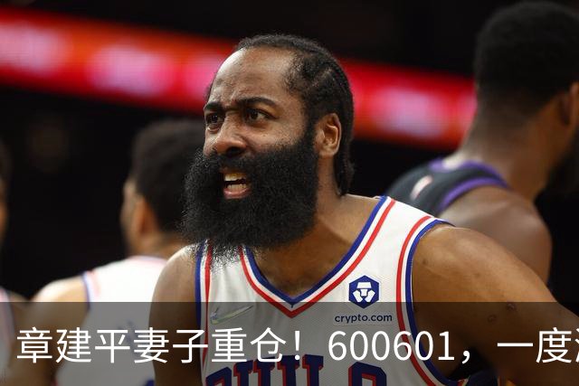 章建平妻子重仓！600601，一度涨停