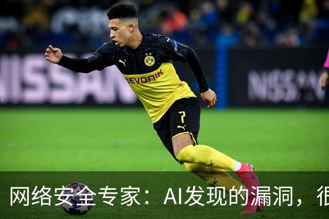 网络安全专家：AI发现的漏洞，很快或将引发新的安全隐患
