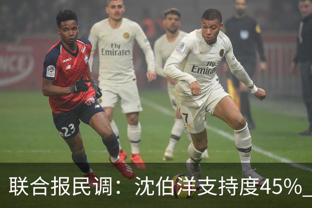 联合报民调：沈伯洋支持度45% 略胜蒋万安41%
