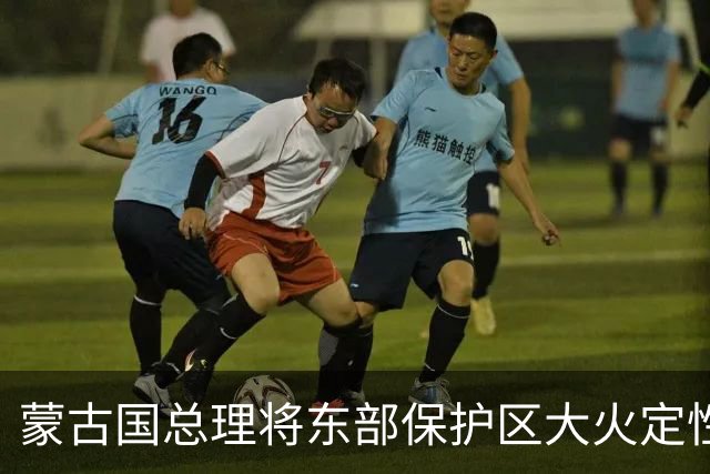 蒙古国总理将东部保护区大火定性为严重生态事件 蒙方将彻查追责
