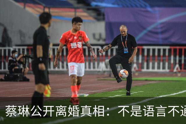蔡琳公开离婚真相：不是语言不通，喜欢中国生活，自己开车去生娃