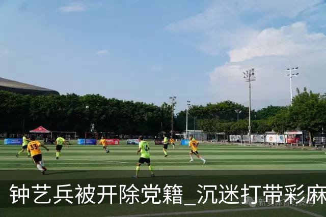 钟艺兵被开除党籍 沉迷打带彩麻将