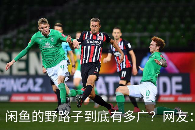 闲鱼的野路子到底有多广？网友：五花八门的啥都有