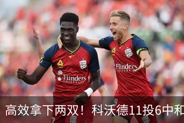高效拿下两双！科沃德11投6中&三分5中3得到15分11板2助