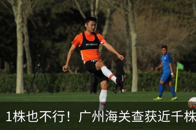 1株也不行！广州海关查获近千株盆栽，有625盆竟是“国宝级”植物